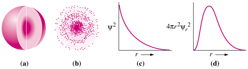 wave equation